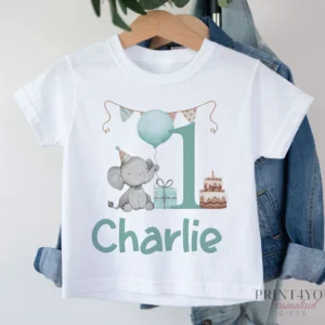 Personalised Boys Birthday T-Shirt