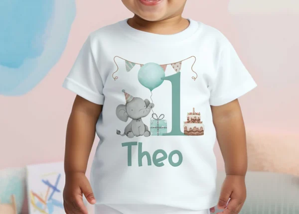 Personalised Boys Birthday T-Shirt