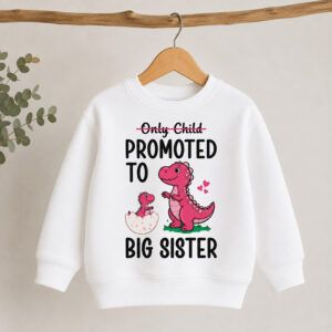 Only Child Promoted to Big Brother / Big Sister Dinosaur Sweatshirt